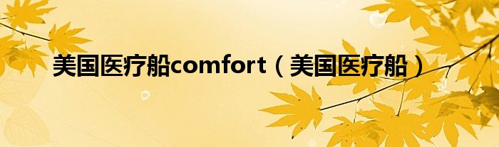  美国医疗船comfort（美国医疗船）