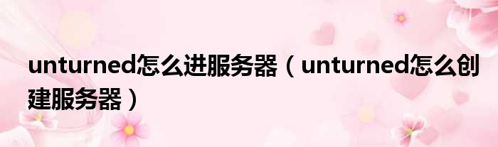 unturned怎么进服务器（unturned怎么创建服务器）