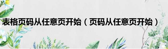 表格页码从任意页开始（页码从任意页开始）