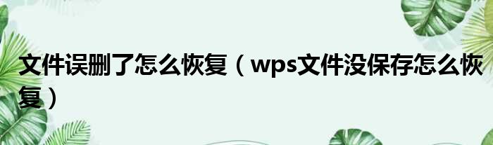 文件误删了怎么恢复（wps文件没保存怎么恢复）