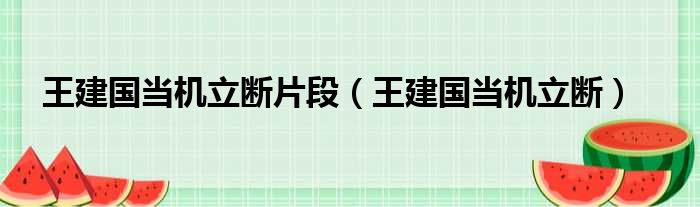 王建国当机立断片段（王建国当机立断）