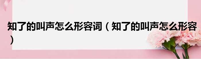 知了的叫声怎么形容词（知了的叫声怎么形容）