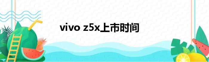 vivo z5x上市时间