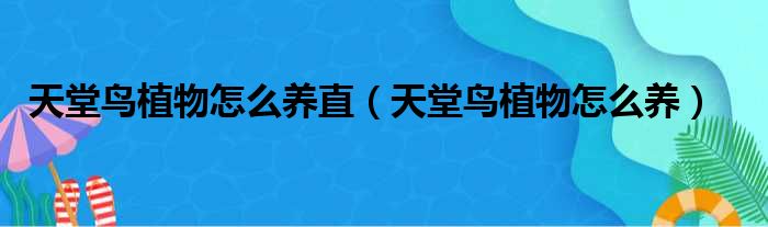 天堂鸟植物怎么养直（天堂鸟植物怎么养）