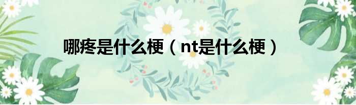 哪疼是什么梗（nt是什么梗）