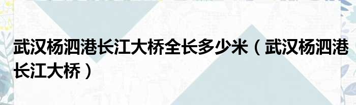 武汉杨泗港长江大桥全长多少米（武汉杨泗港长江大桥）