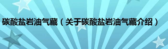  碳酸盐岩油气藏（关于碳酸盐岩油气藏介绍）