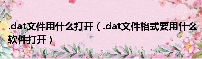 .dat文件用什么打开（.dat文件格式要用什么软件打开）