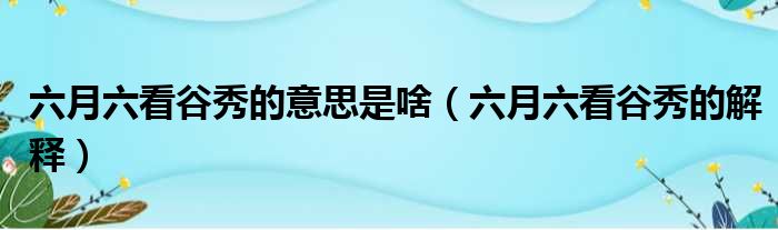 六月六看谷秀的意思是啥（六月六看谷秀的解释）