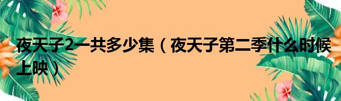 夜天子2一共多少集（夜天子第二季什么时候上映）