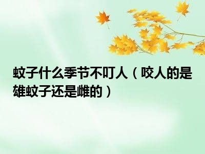 蚊子什么季节不叮人（咬人的是雄蚊子还是雌的）