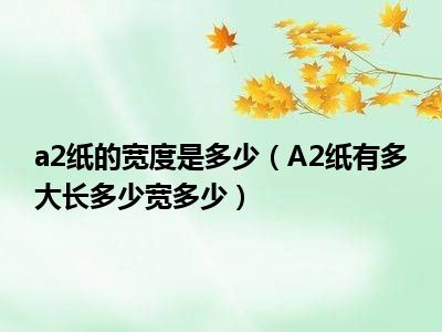 a2纸的宽度是多少（A2纸有多大长多少宽多少）