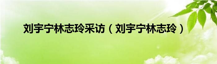  刘宇宁林志玲采访（刘宇宁林志玲）