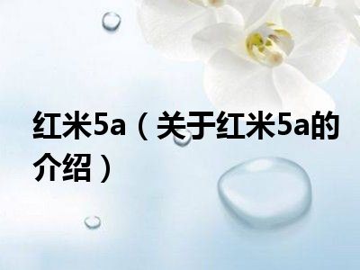 红米5a（关于红米5a的介绍）