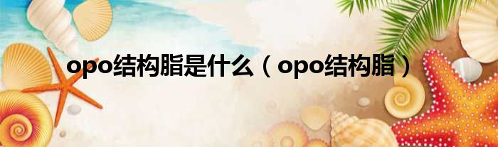 opo结构脂是什么（opo结构脂）