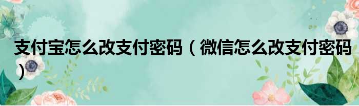 支付宝怎么改支付密码（微信怎么改支付密码）