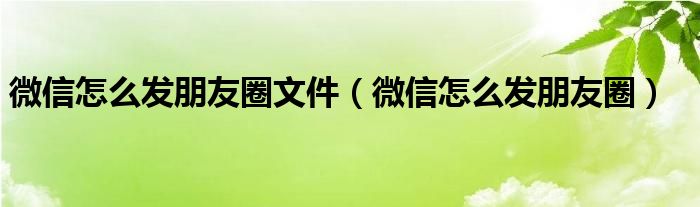  微信怎么发朋友圈文件（微信怎么发朋友圈）