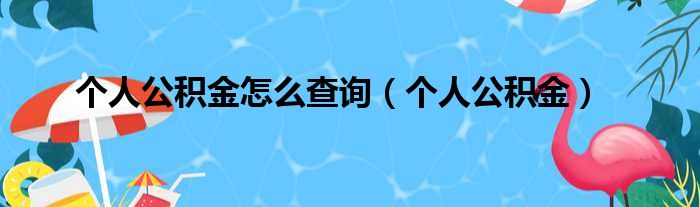 个人公积金怎么查询（个人公积金）