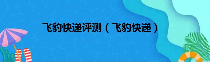 飞豹快递评测（飞豹快递）