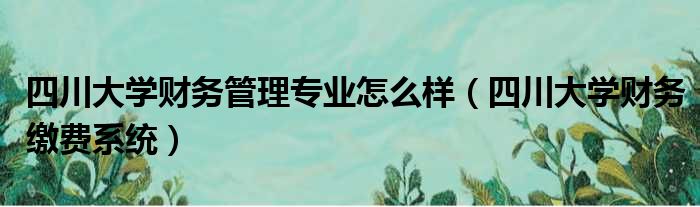 四川大学财务管理专业怎么样（四川大学财务缴费系统）