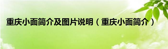 重庆小面简介及图片说明（重庆小面简介）