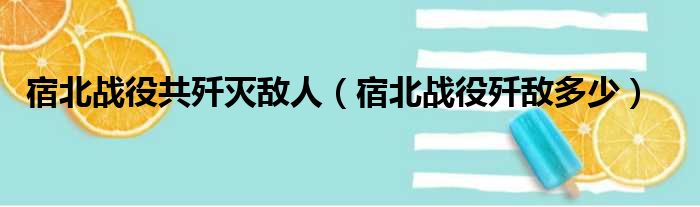 宿北战役共歼灭敌人（宿北战役歼敌多少）