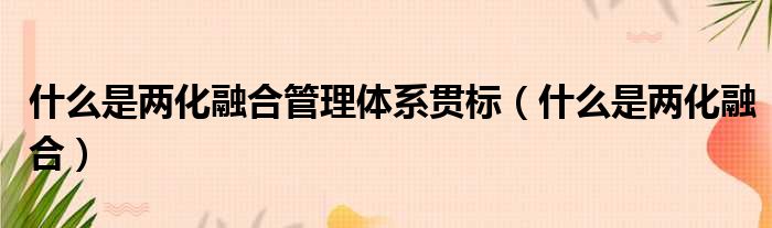 什么是两化融合管理体系贯标（什么是两化融合）