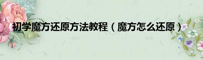 初学魔方还原方法教程（魔方怎么还原）