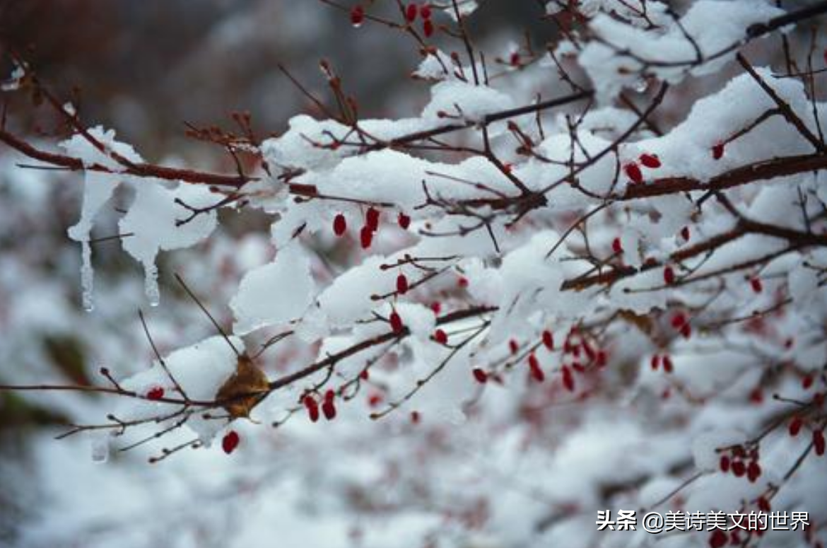 春有百花冬有雪表达什么意思（春有百花冬有雪完整全诗作者是和尚吗）(图4)