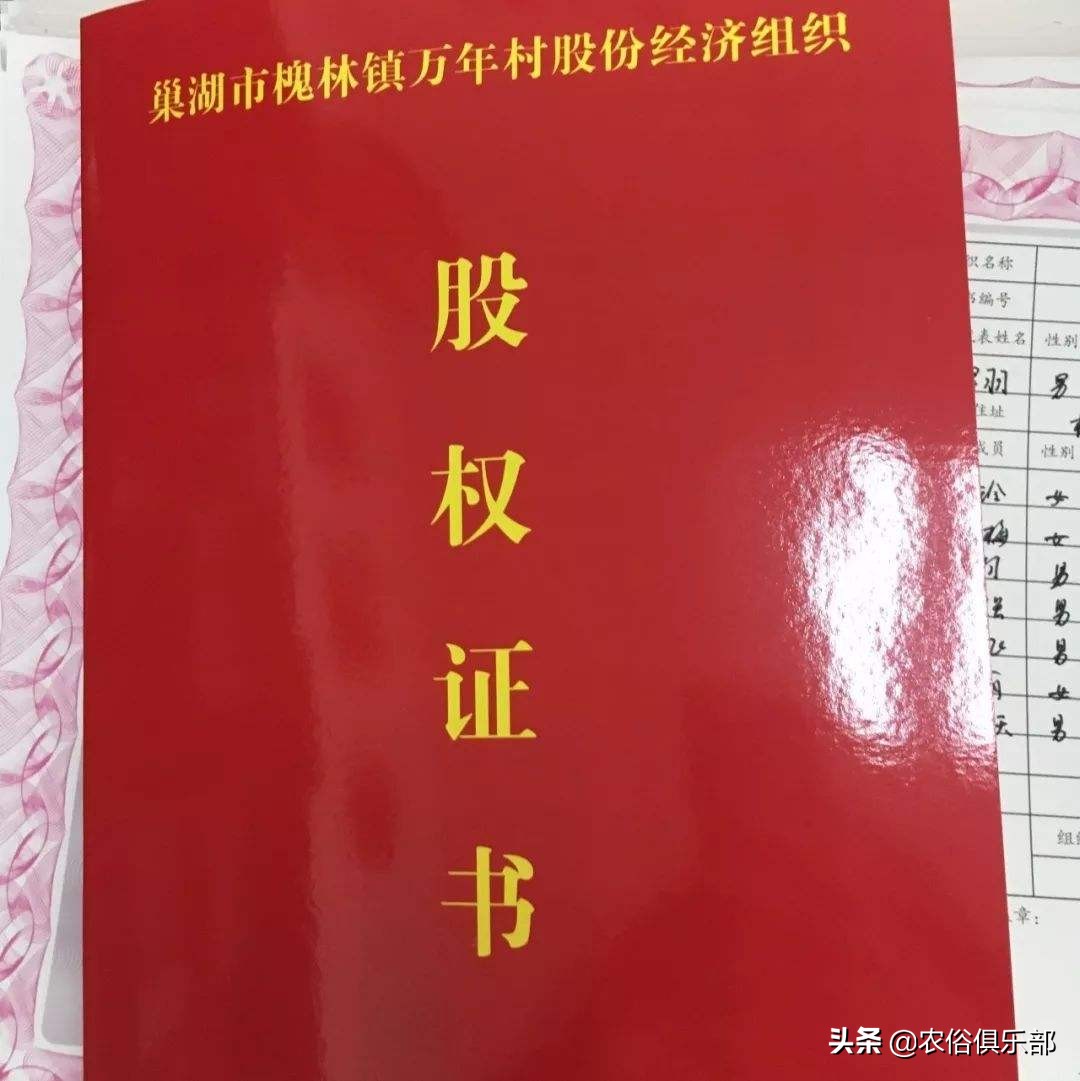 农村集体经济组织股权证是什么意思-（农村集体经济组织股权证什么意思）(图4)