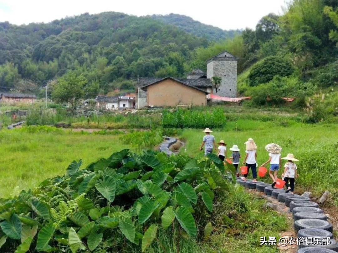 农村集体经济组织股权证是什么意思-（农村集体经济组织股权证什么意思）(图16)