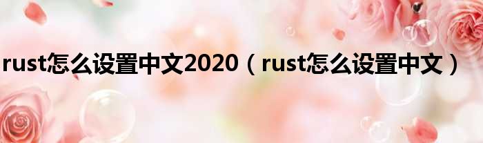 rust怎么设置中文2020（rust怎么设置中文）