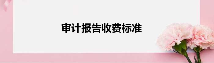 审计报告收费标准