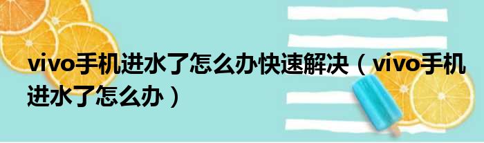 vivo手机进水了怎么办快速解决（vivo手机进水了怎么办）