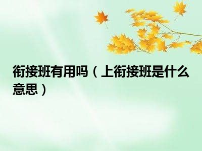 衔接班有用吗（上衔接班是什么意思）