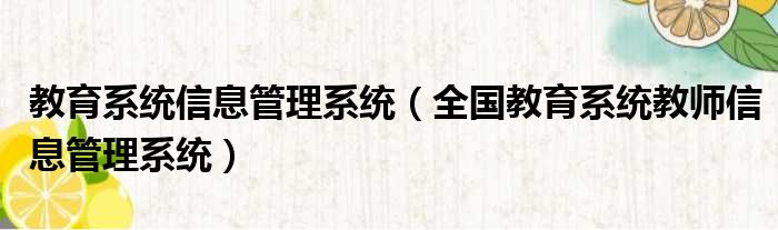 教育系统信息管理系统（全国教育系统教师信息管理系统）