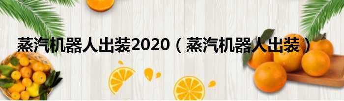 蒸汽机器人出装2020（蒸汽机器人出装）