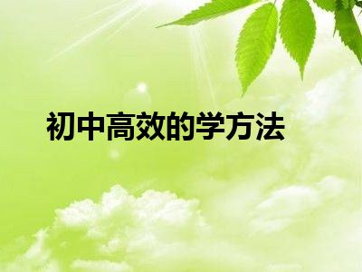 初中高效的学方法