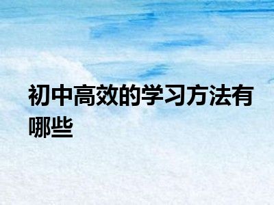 初中高效的学习方法有哪些