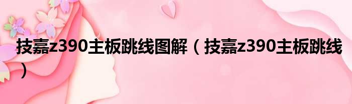 技嘉z390主板跳线图解（技嘉z390主板跳线）