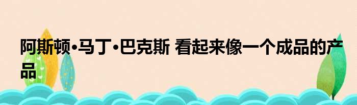 阿斯顿·马丁·巴克斯 看起来像一个成品的产品