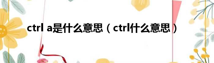 ctrl a是什么意思（ctrl什么意思）