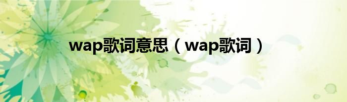 wap歌词意思（wap歌词）