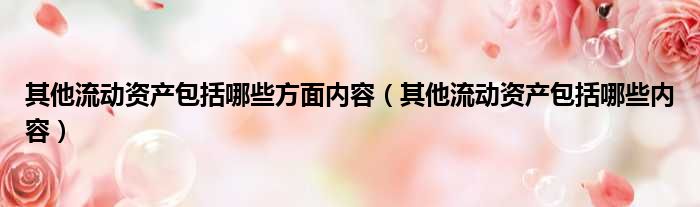 其他流动资产包括哪些方面内容（其他流动资产包括哪些内容）