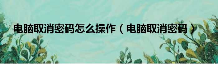 电脑取消密码怎么操作（电脑取消密码）