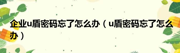 企业u盾密码忘了怎么办（u盾密码忘了怎么办）