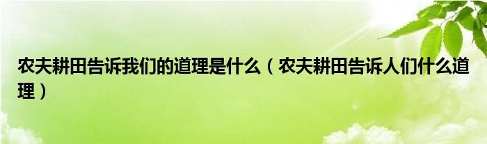 农夫耕田告诉我们的道理是什么（农夫耕田告诉人们什么道理）