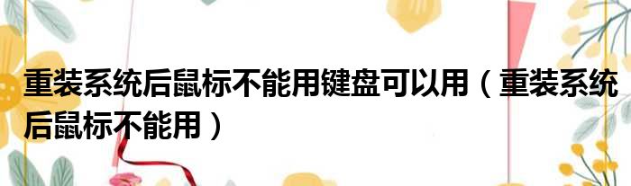 重装系统后鼠标不能用键盘可以用（重装系统后鼠标不能用）