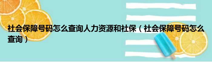 社会保障号码怎么查询人力资源和社保（社会保障号码怎么查询）