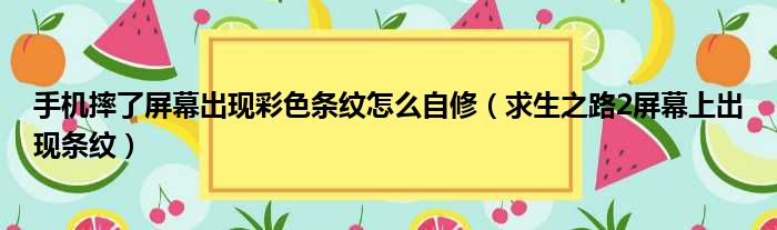 手机摔了屏幕出现彩色条纹怎么自修（求生之路2屏幕上出现条纹）